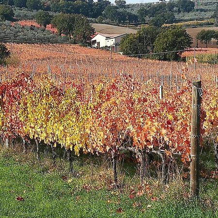 Antico Gioiello Umbro , Appartamento Con Terrazza Foligno Dış mekan fotoğraf