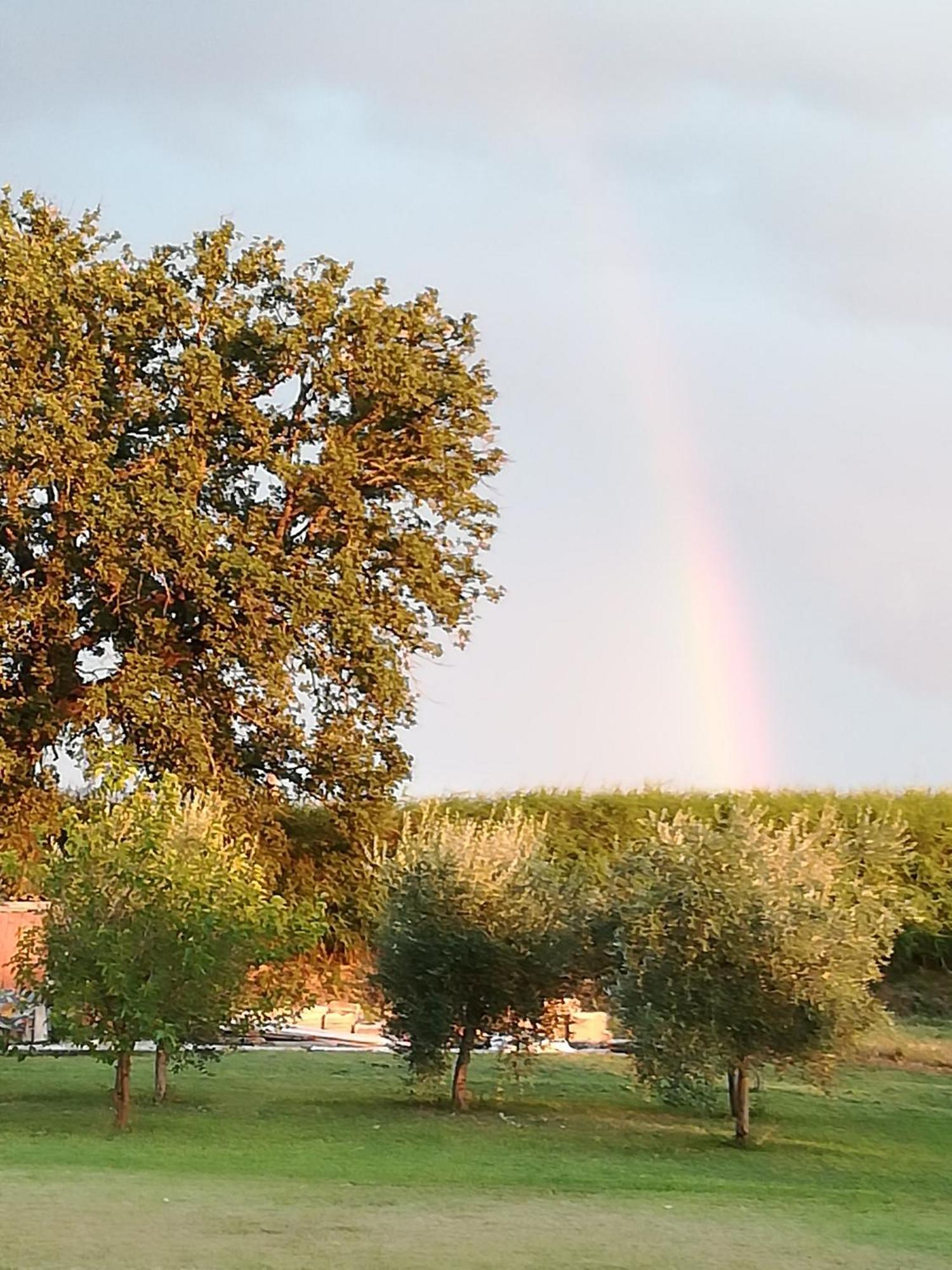 Antico Gioiello Umbro , Appartamento Con Terrazza Foligno Dış mekan fotoğraf