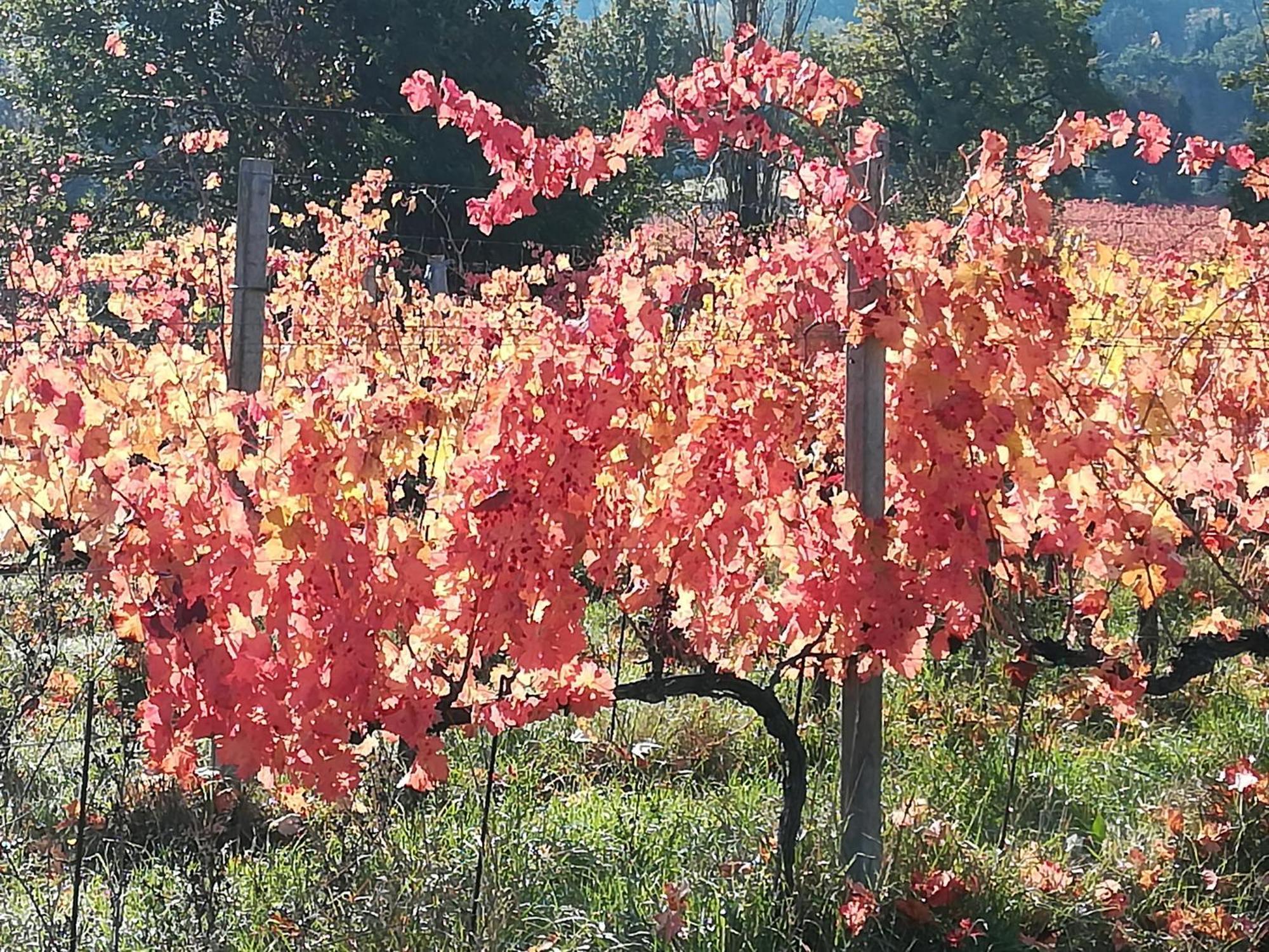 Antico Gioiello Umbro , Appartamento Con Terrazza Foligno Dış mekan fotoğraf